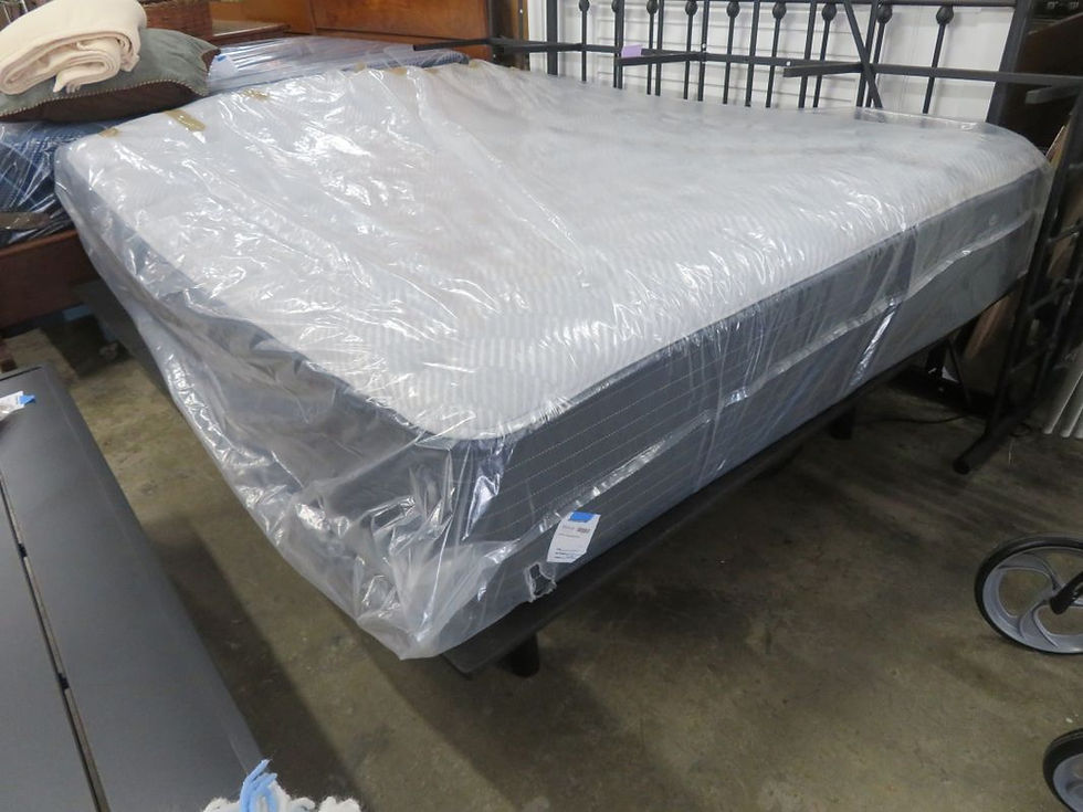 Queen Size "Sandburg" Adjustable Firm Bed $550.00
