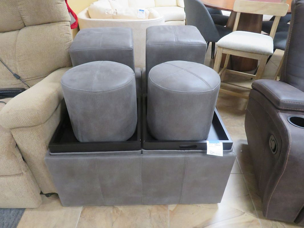 Gray Storage Ottoman W/ 4 sm. Ottomans $100.00