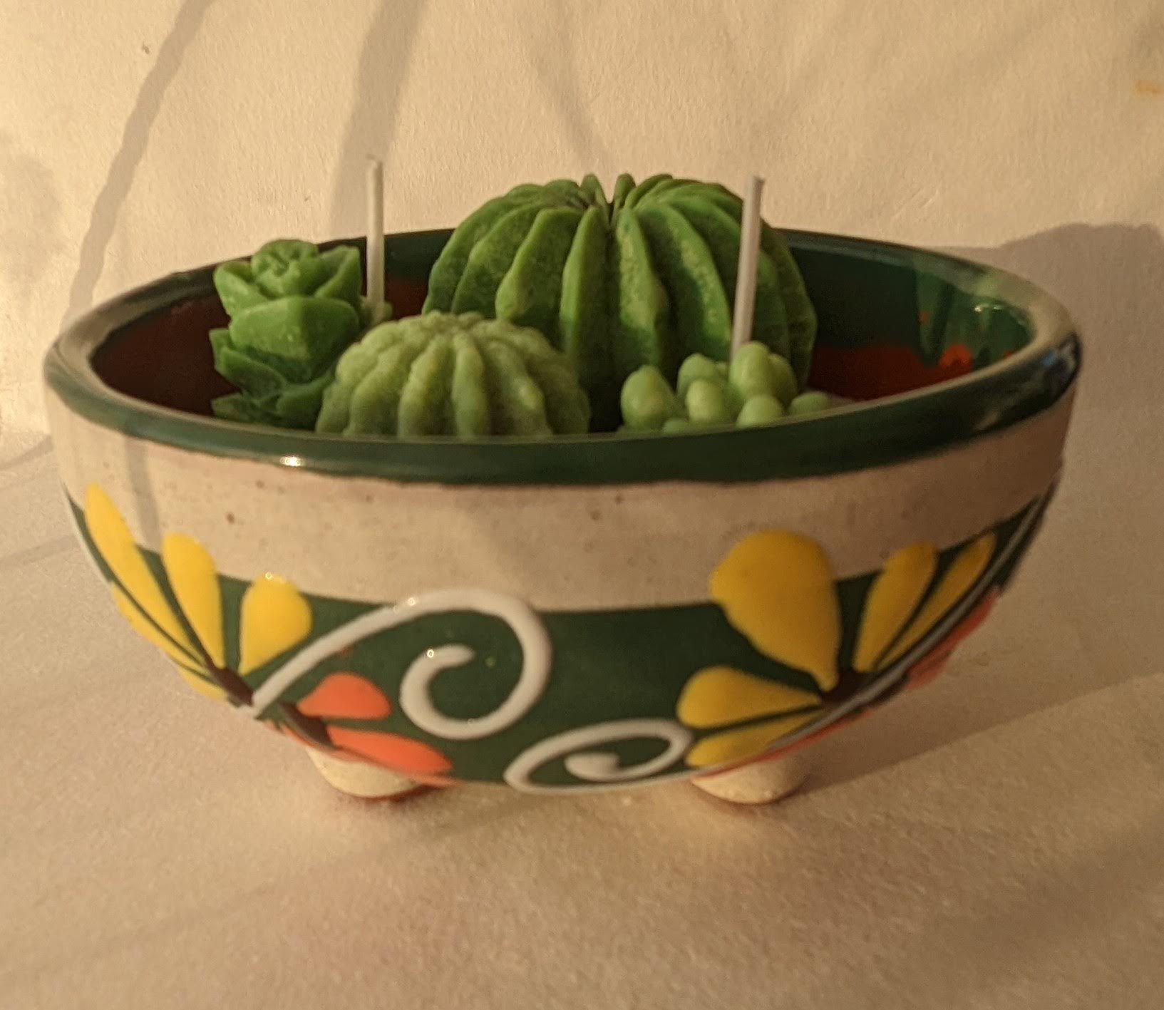 Succulenta En Molcajetito