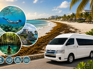 ¿Qué hacer en la Riviera Maya cuando hay sargazo? 10 experiencias para disfrutar al máximo tu viaje