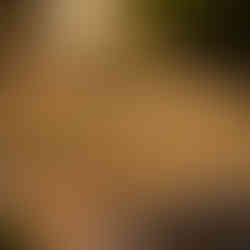 Playful Wellness by the Sea at The Standard, Hua Hin