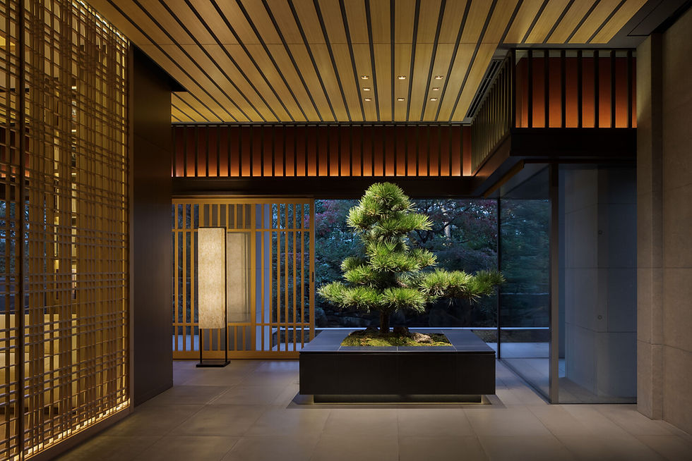 Modern interior with a neatly pruned bonsai tree, wooden slatted ceiling, and soft lighting. Large windows show a serene garden outside.