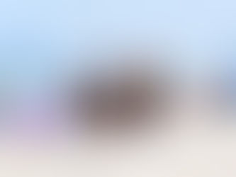 Beach Polo Returns to Hua Hin with Sport, Society, and Seaside Spectacle