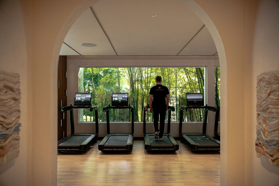 Man standing on a treadmill in a bright gym with large windows showing greenery outside. Other treadmills are empty. Mood is calm.