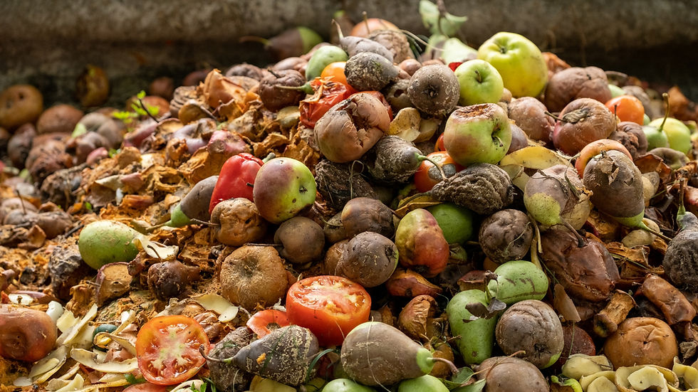 Pile of rotting apples, tomatoes, pears, and peels in a compost heap, showing brown decay and a messy, wasteful scene