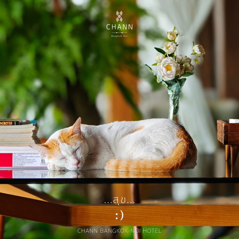 CHANN Bangkok-Noi 