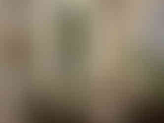 Baan Prapa is a casual homemade Thai restaurant