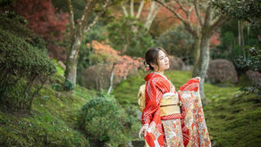  秋の振袖撮影🍁Maity1日貸切プラン③人気の牡丹画に書院はもちろんバラ園やお花畑も＠奥殿陣屋（岡崎市）｜出張フォトグラファー愛知｜出張撮影｜振袖撮影｜愛知｜