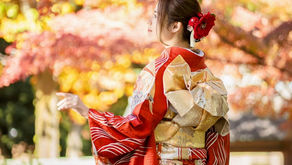 秋の振袖撮影🍁Maity1日貸切プラン①紅葉もイチョウもお城もお茶室も＠岡崎城公園（岡崎公園）｜出張フォトグラファー愛知｜出張撮影｜振袖撮影｜愛知｜