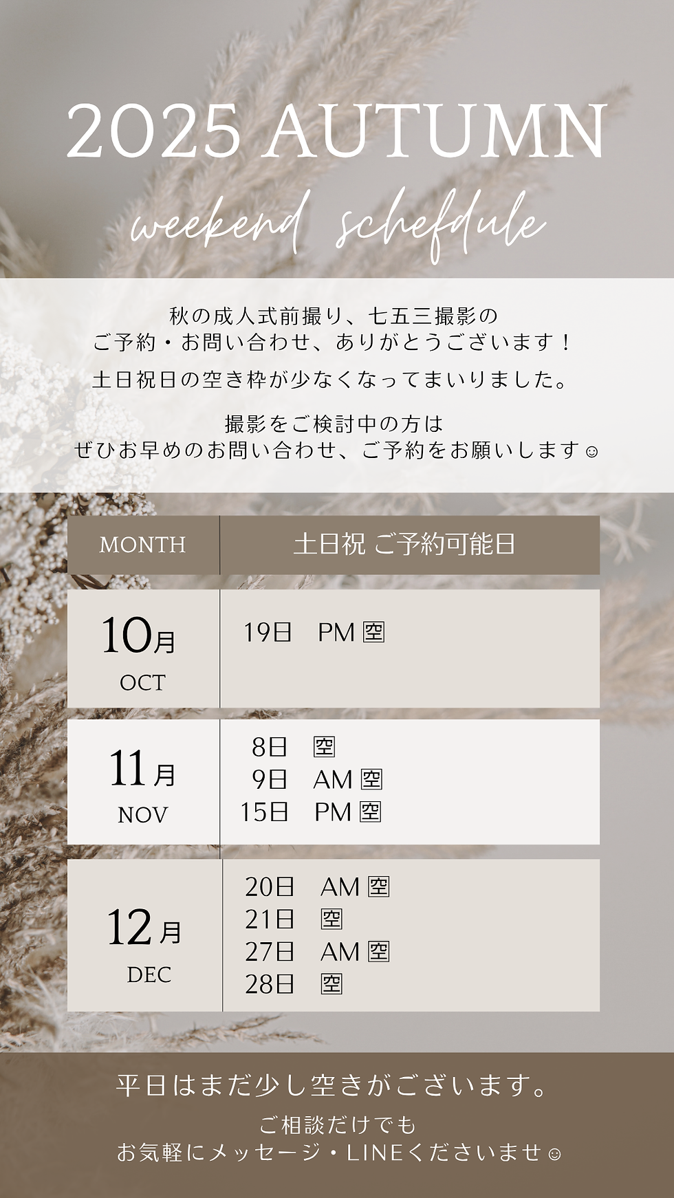 【2025年秋🍁土日祝日の空き状況】秋の成人式前撮り👘七五三同行撮影⛩️紅葉ロケーション撮影のご予約はぜひお早めに💨｜出張フォトグラファー｜Maity Photography｜愛知・豊明｜