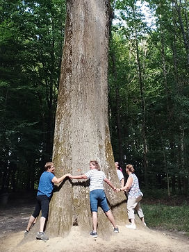 bain de forêt