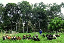 Rumo e CHS construirão terminal de grãos e fertilizantes para 12,5 milhões de toneladas anuais