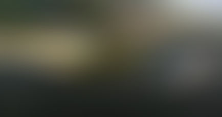 Cidade do litoral norte de SP quer terminal de cruzeiros