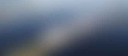 Transbrasa apresenta projeto Santos + Vivo e prevê benefícios