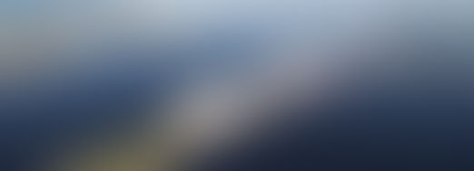 Transbrasa apresenta projeto Santos + Vivo e prevê benefícios