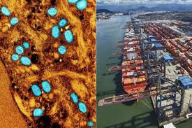 Argentina descarta caso de mpox em tripulante de navio que passou pelo Porto de Santos, SP