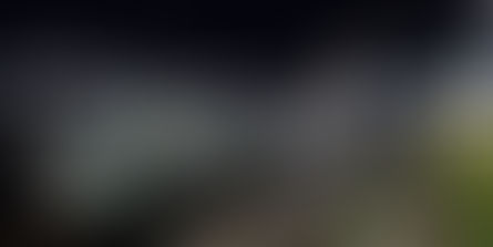 APS avalia o que fará com o navio Besnard após adernamento no Porto