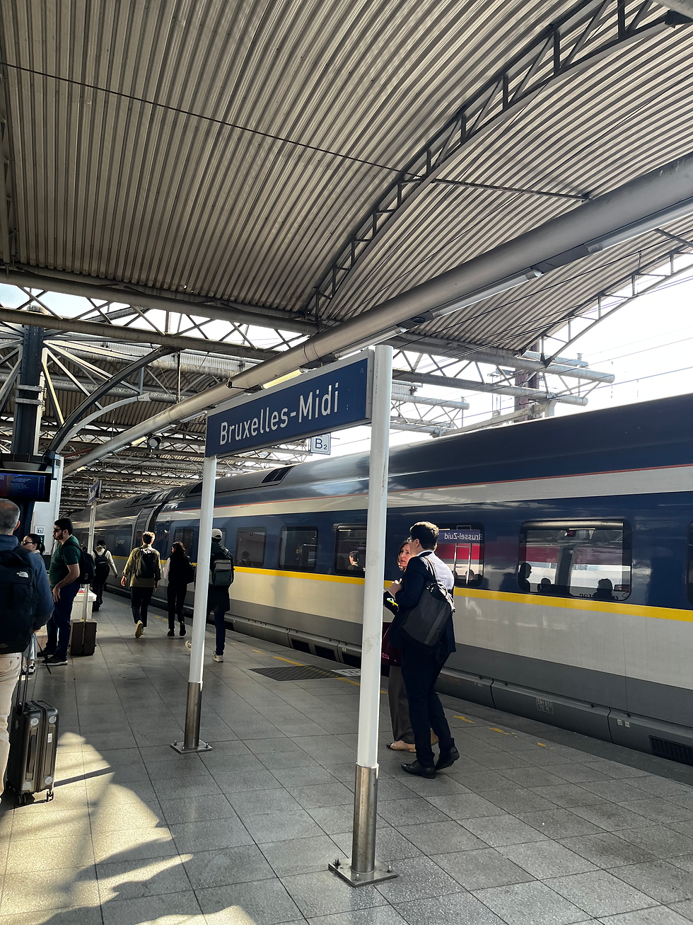 My arrival at Bruxelles-Midi station
