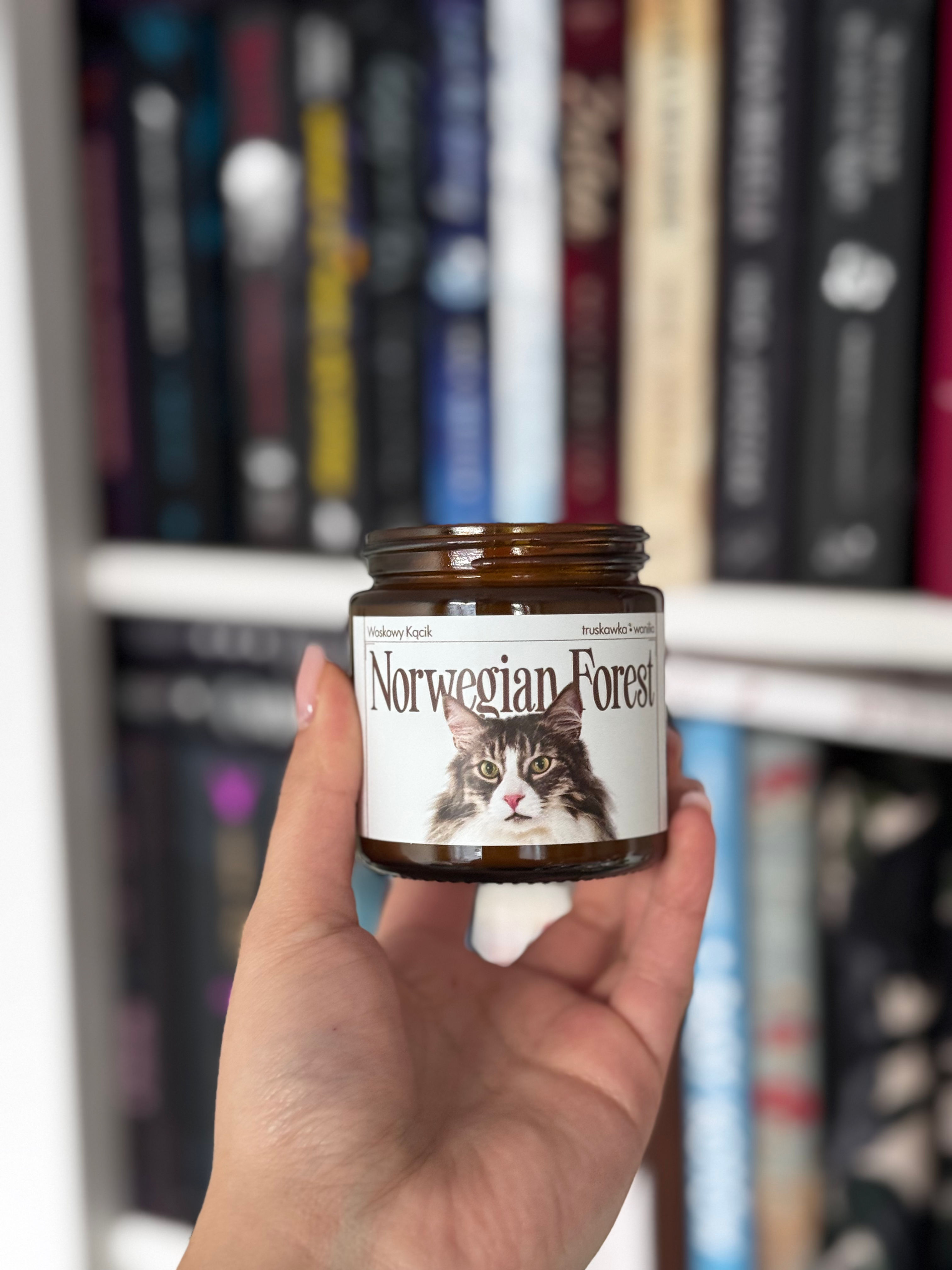 Norwegian Forest • truskawka • brzoskwinia • wanilia  