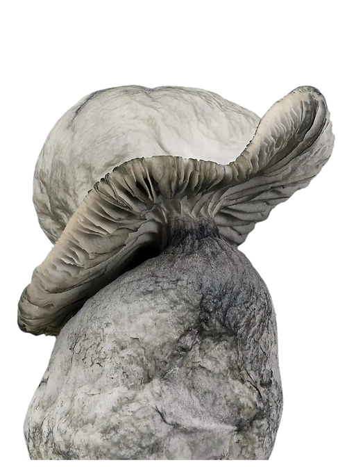 Untitled design (5).png