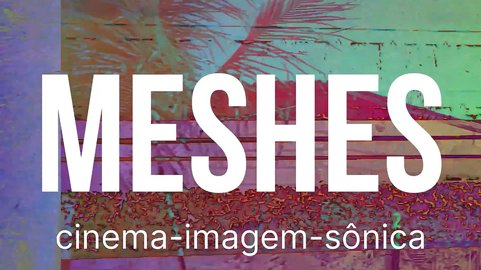 MESHES poster 5 300dpi.jpg
