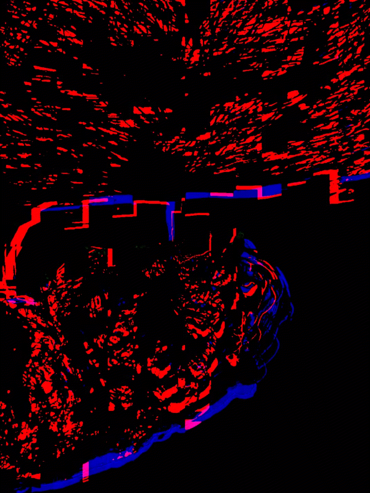 Untitled (4).GIF