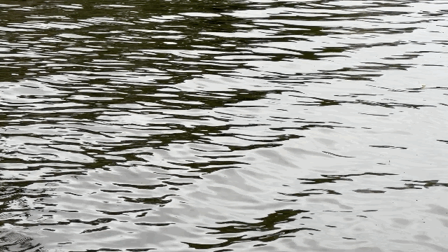 gif rio.gif