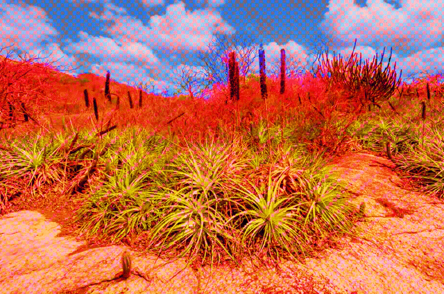 Untitled (27).GIF
