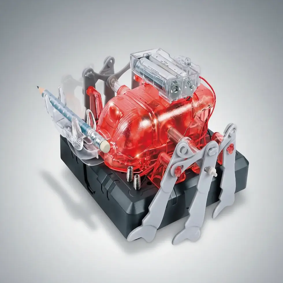 Miniatura: Experimento STEM Escarabajo Robótico