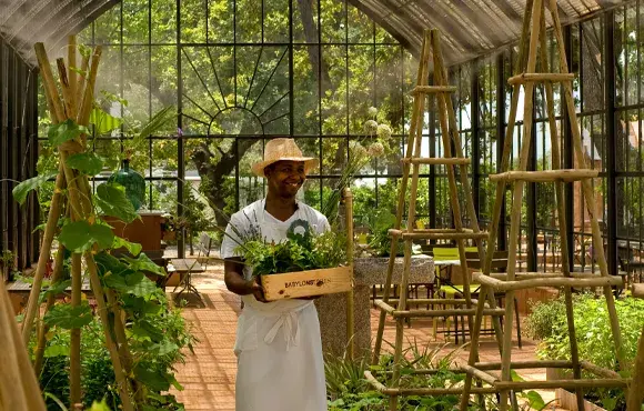 greenhouse-(1).jpg