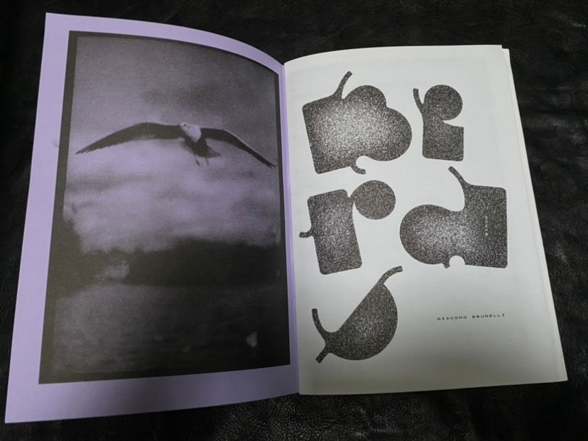 Thumbnail: “BIRDS” SPECIAL EDITION 75 - PRINT B (Editions Bessard x TantoPress, 2024)