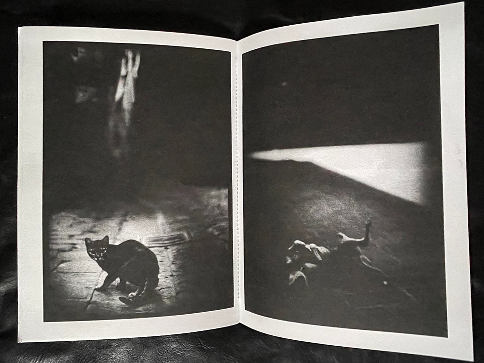 Thumbnail: “Emergence” (Editions Bessard, 2026) 