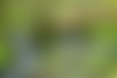 protect the Clean Water Act vote no on PERMIT Act