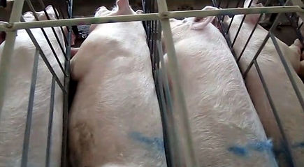 Take action to stop the EATS Act during Feb 7 Call-in Day
