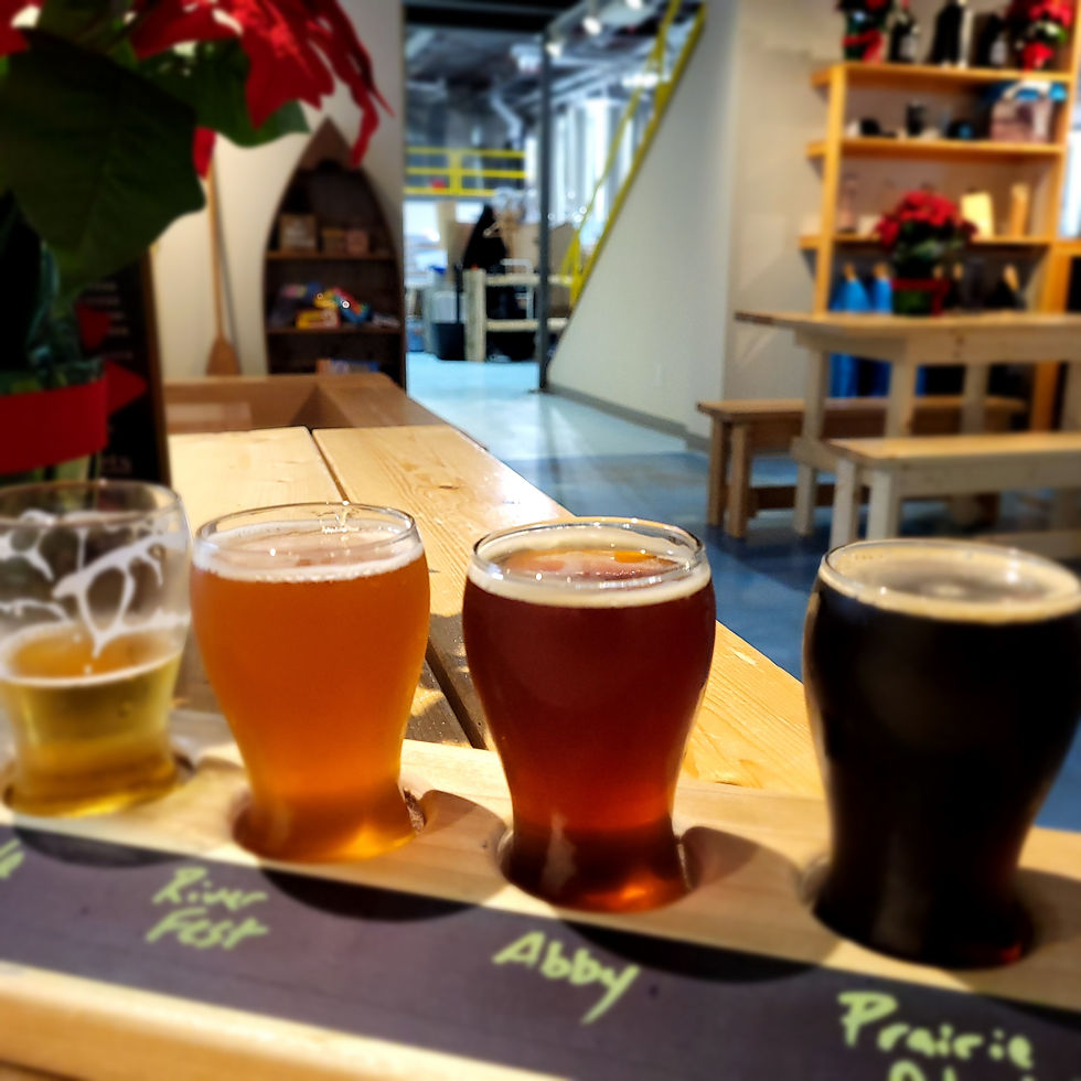 A flight of beer at bow river brewing