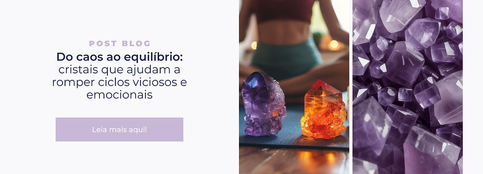 Do caos ao equilíbrio