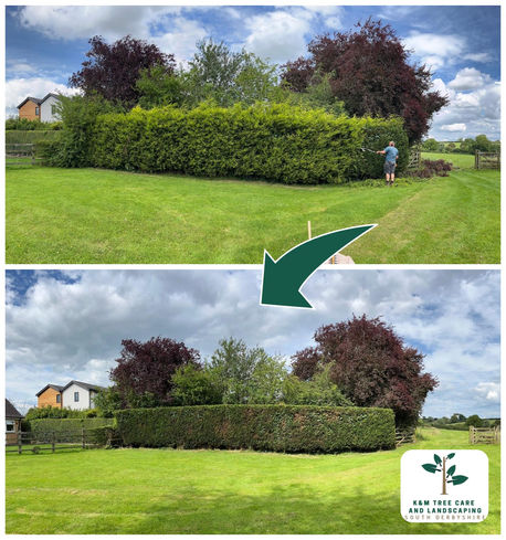Hedge Trimming Derby Ashbourne