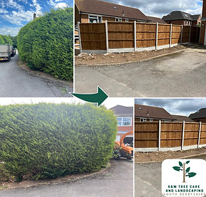 Hedge Removal Fence Installation Derby Ashbourne
