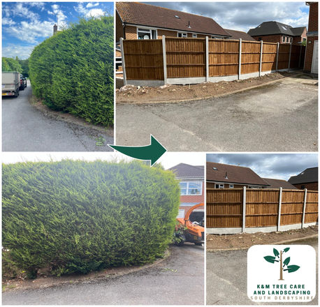 Hedge Removal Fence Installation Derby