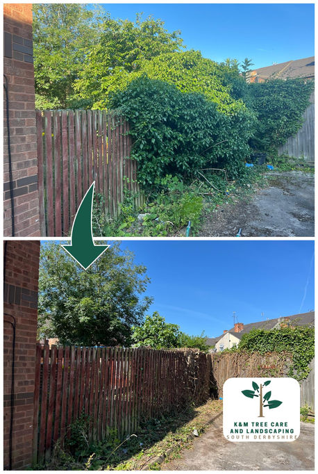 Shrub Reduction Derby Ashbourne