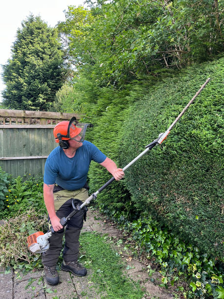 Hedge Trimming Derby Ashbourne