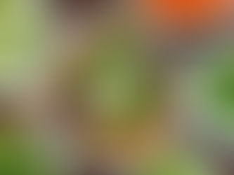 Soba Miso Salad with Crispy Ginger Tofu