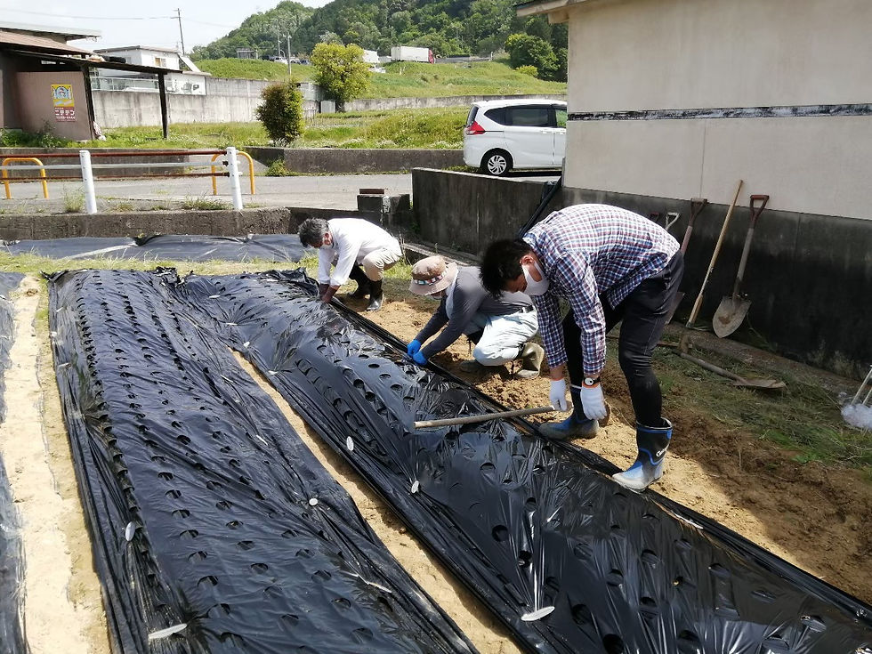 LINE_ALBUM_20210516BVS芋植え_220320_1