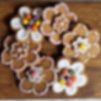 Daisy flower DIY kit