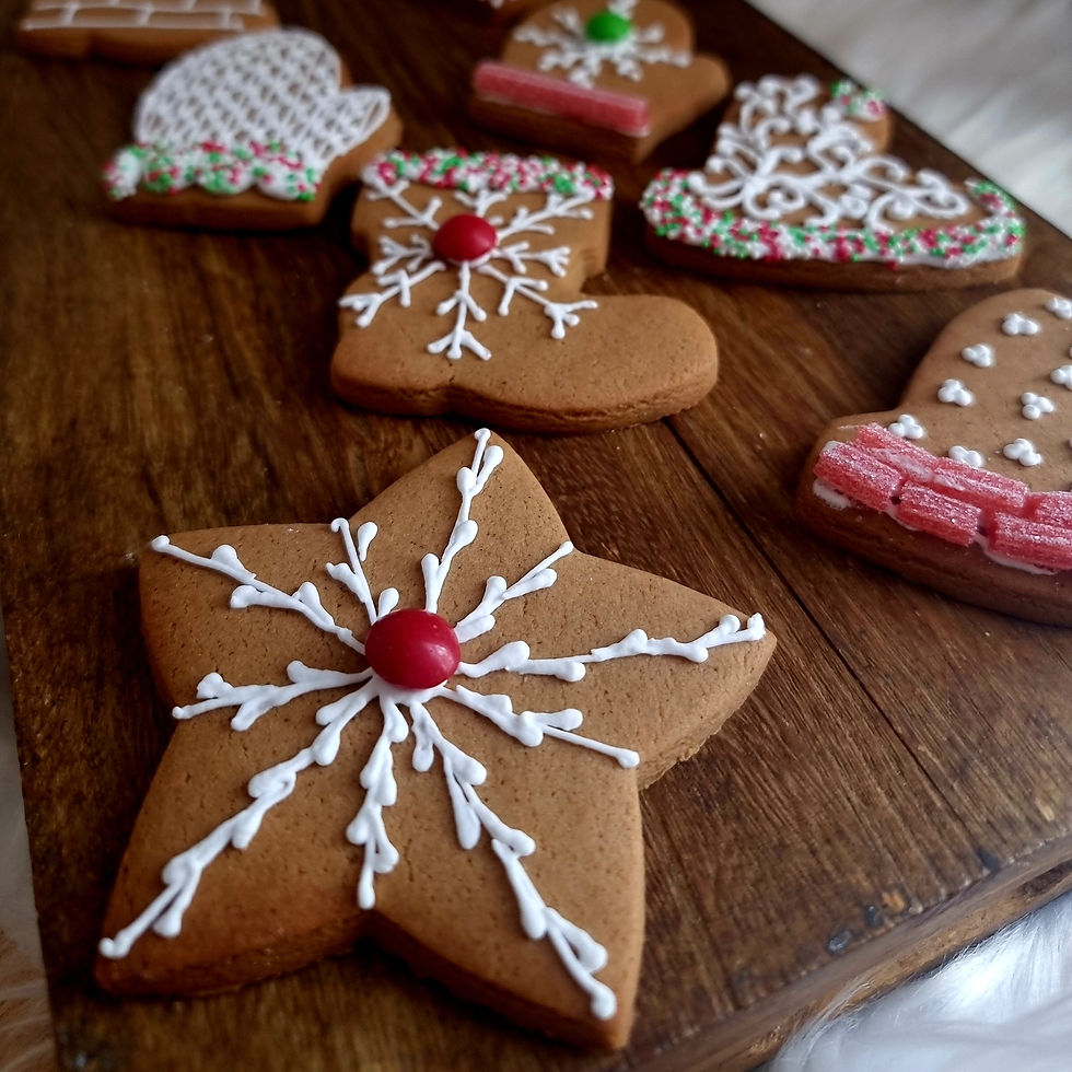 Christmas biscuits decorating kit