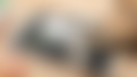 Steps to Successfully Adopt a Cat Online