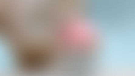 Easily Calculate Carbs in Your Cat's DRY Food