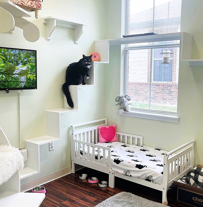 Whiskers Luxury Cat Boarding