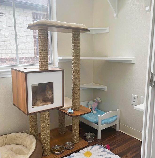 Whiskers Luxury Cat Boarding