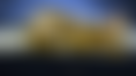 Katznjamr Inkosi Bengal Cat